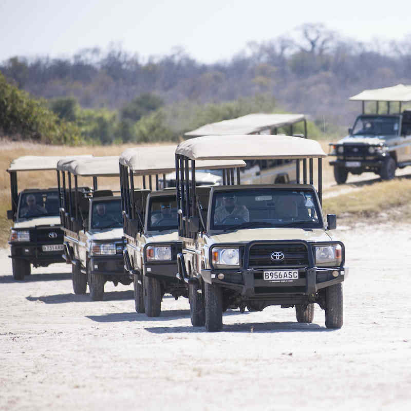 Game drive fleet on the move