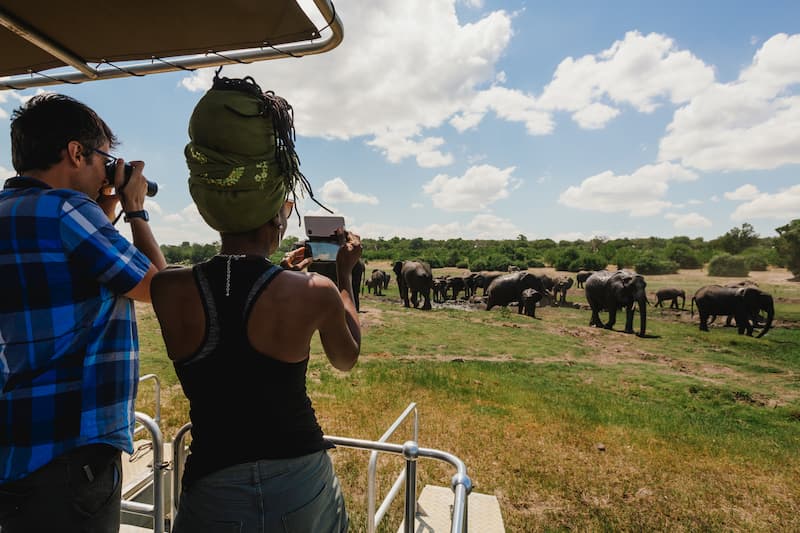 Viewing elephant herd for back of boat